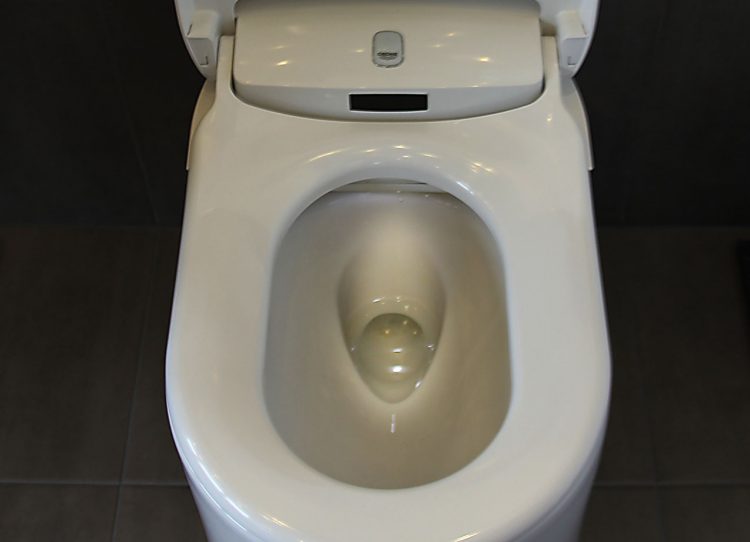 Dusch-WC